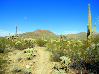 Hiking the Brown Mountain trail in the Tucson Mountains