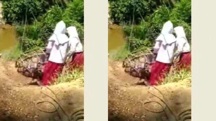 Kades-Beberkan-Fakta-Sebenarnya-di-Balik-Viral-Video-3-Bocah-SD-Bergelantungan-Sebrangi-Sungai