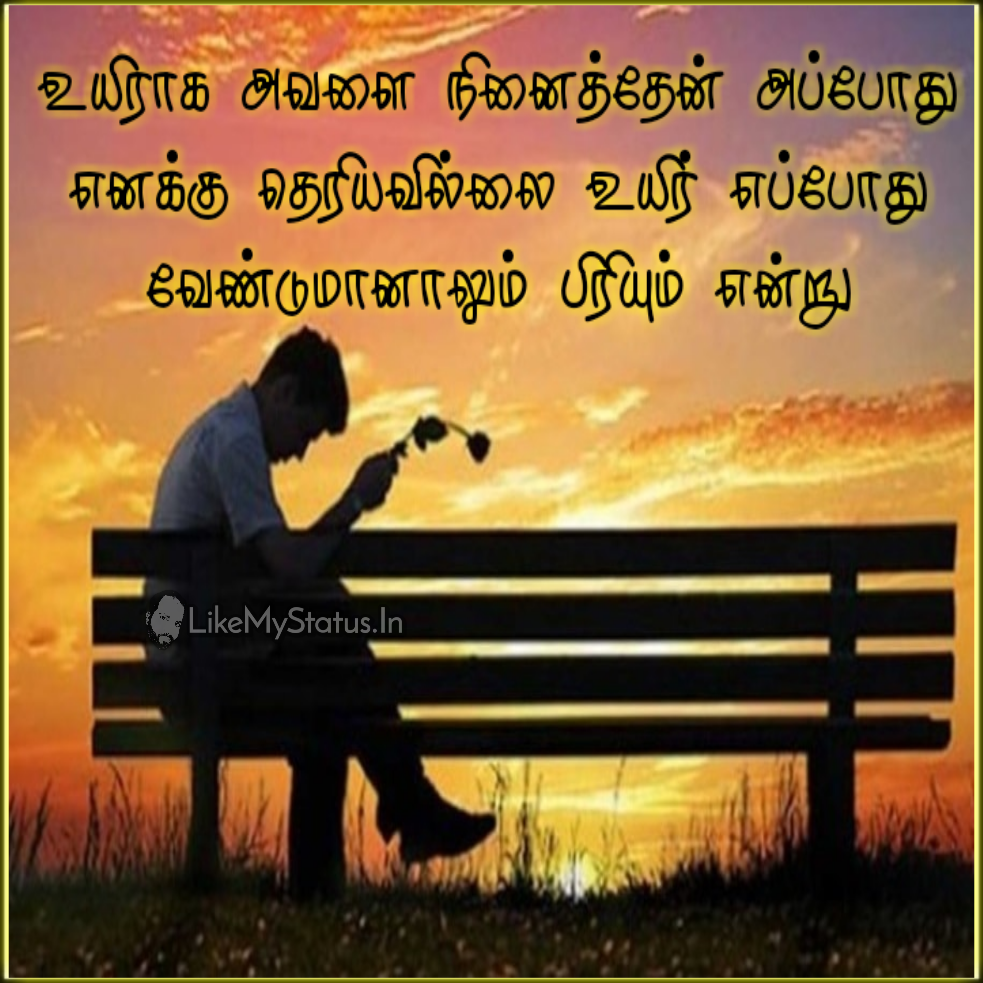 உயிராக அவளை நினைத்தேன்... Tamil Love Failure Status...