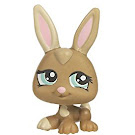 Littlest Pet Shop Petriplets Rabbit (#1332) Pet