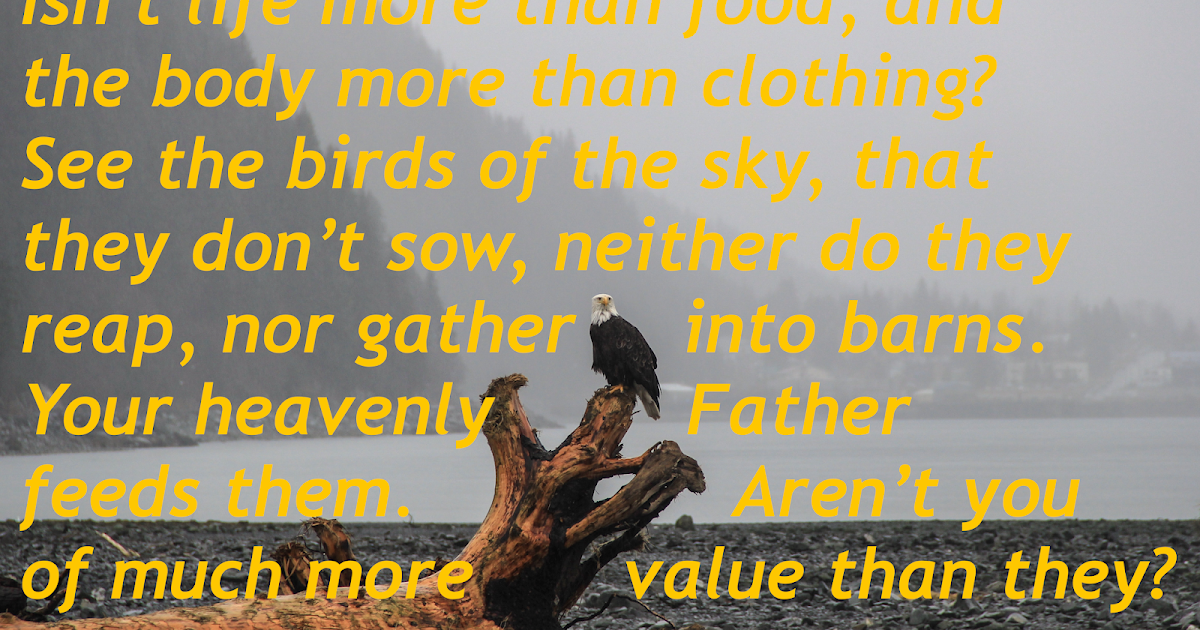 Matthew 6:25-26
