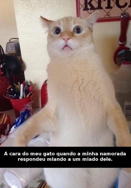 memes engraçados memes engraçados