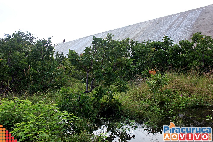 Barragem do Rio Piracuruca sangra após sete anos de estiagem - Imagem 4