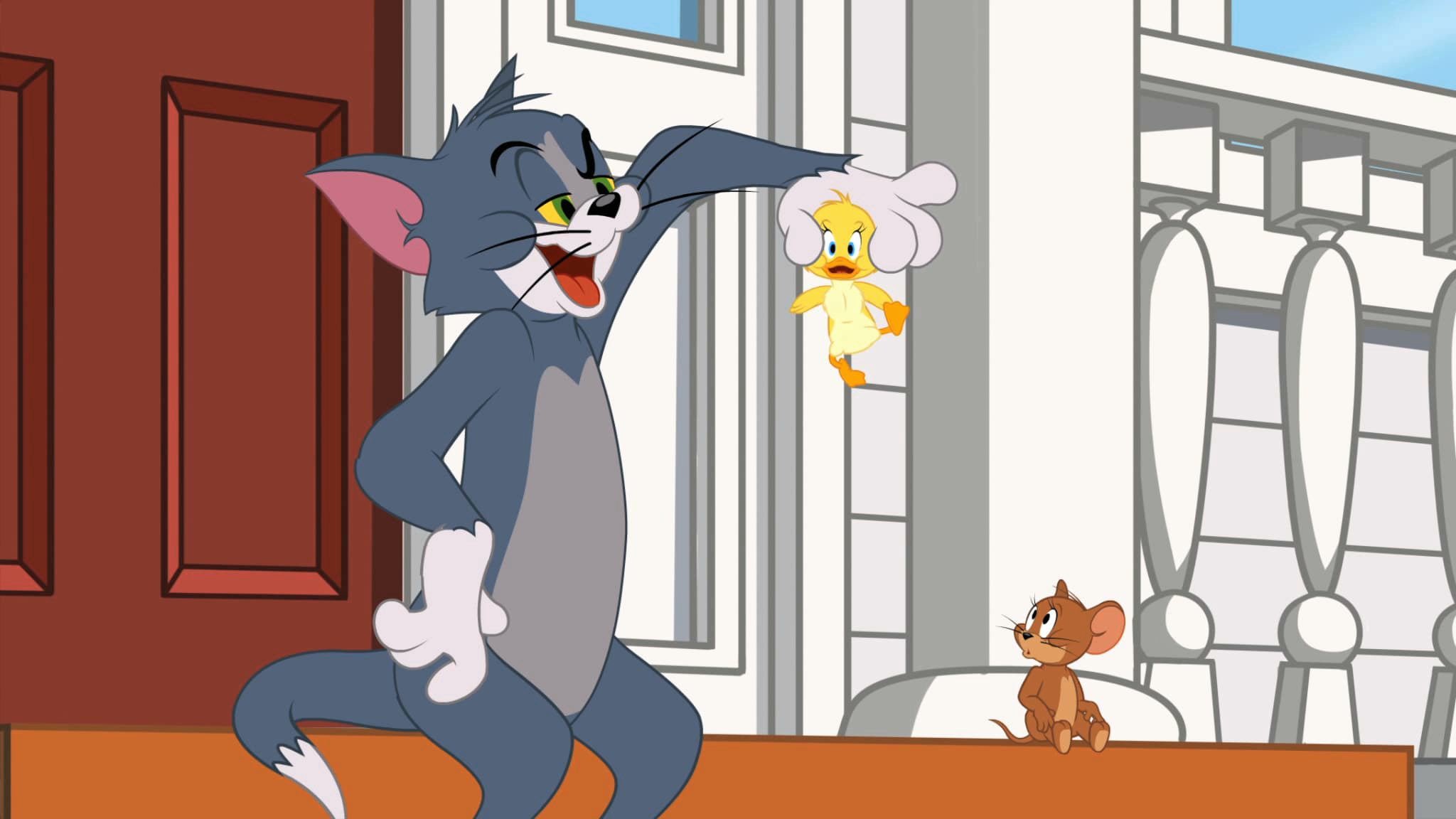Tom jerry 2. Шоу Тома и Джерри. Tom and Jerry 2014. Tom and Jerry show 2014.