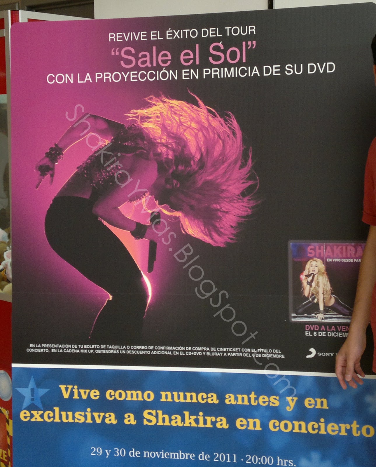 Shakira En Guadalajara 2024 - Kacy Demetris