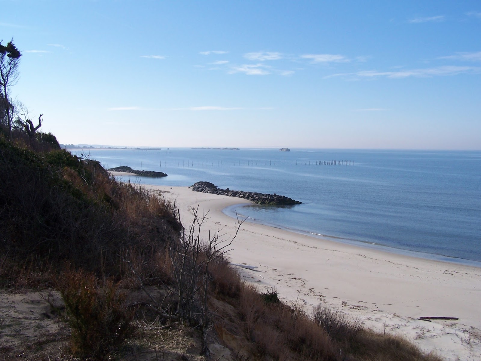 Coastal Virginia Wildlife Observatory Baywatch Waterbird Survey