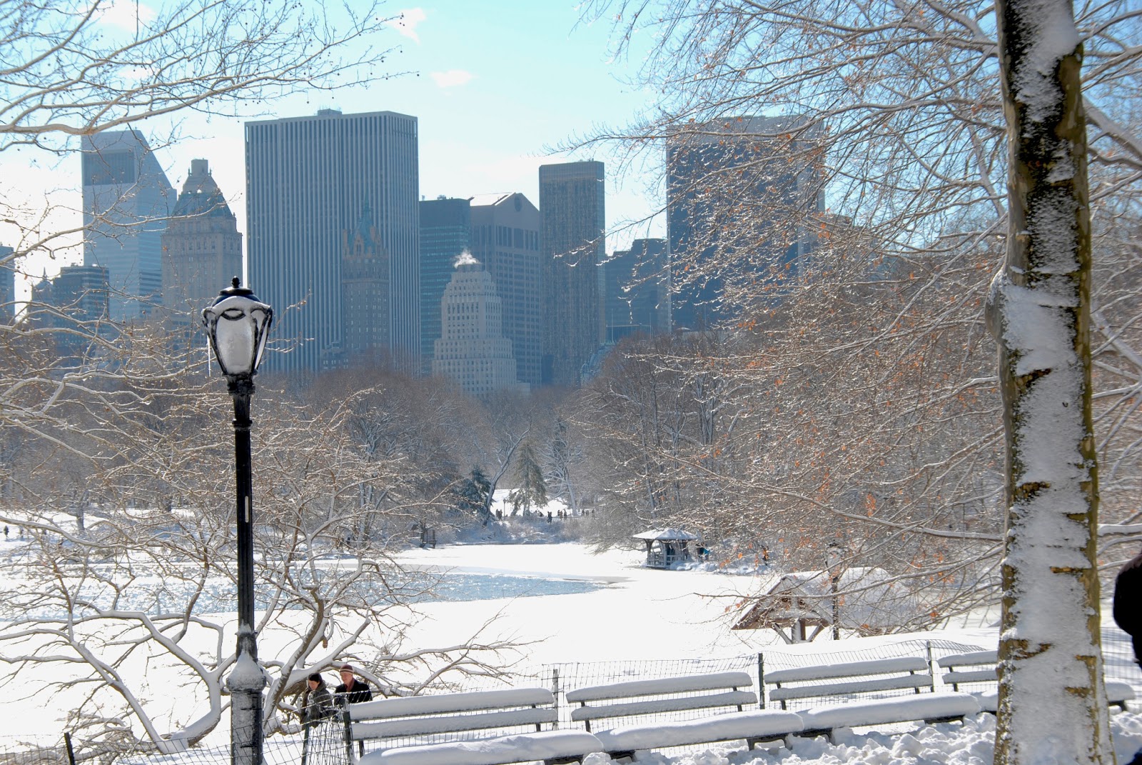 La Mina Polaris Nieve en New York