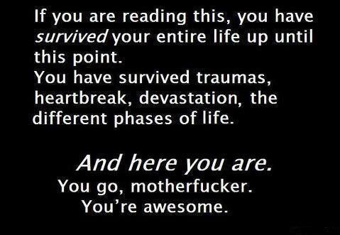 [Image: If+you+are+reading+this+you+have+survive...+point.jpg]