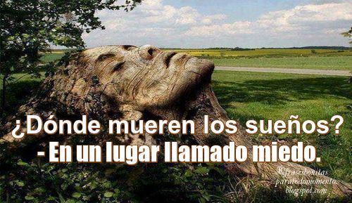 ¿Dónde mueren los sueños?👉 En un lugar llamado miedo.