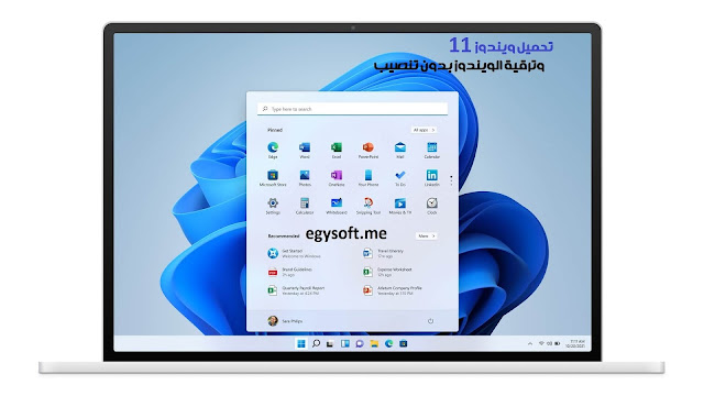 Windows 11