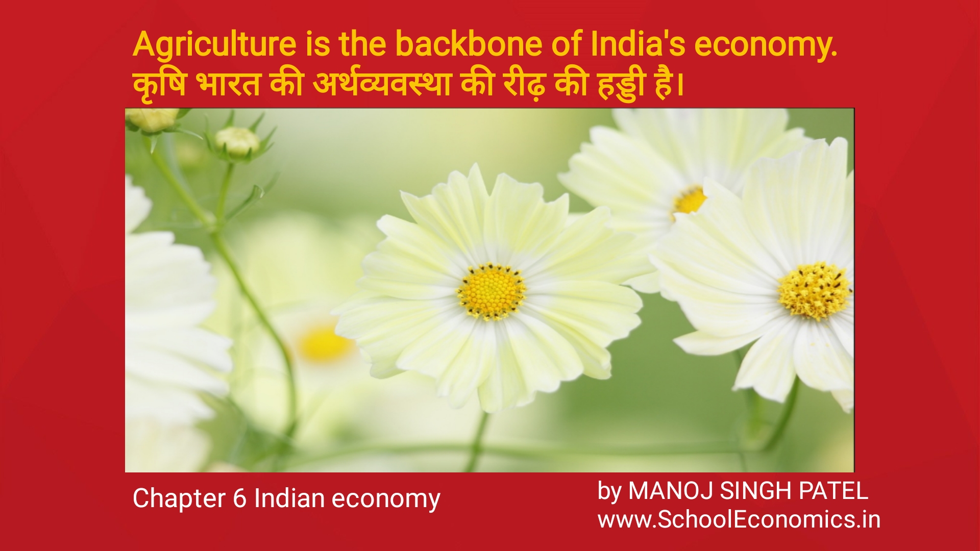 agriculture is the backbone of india essay