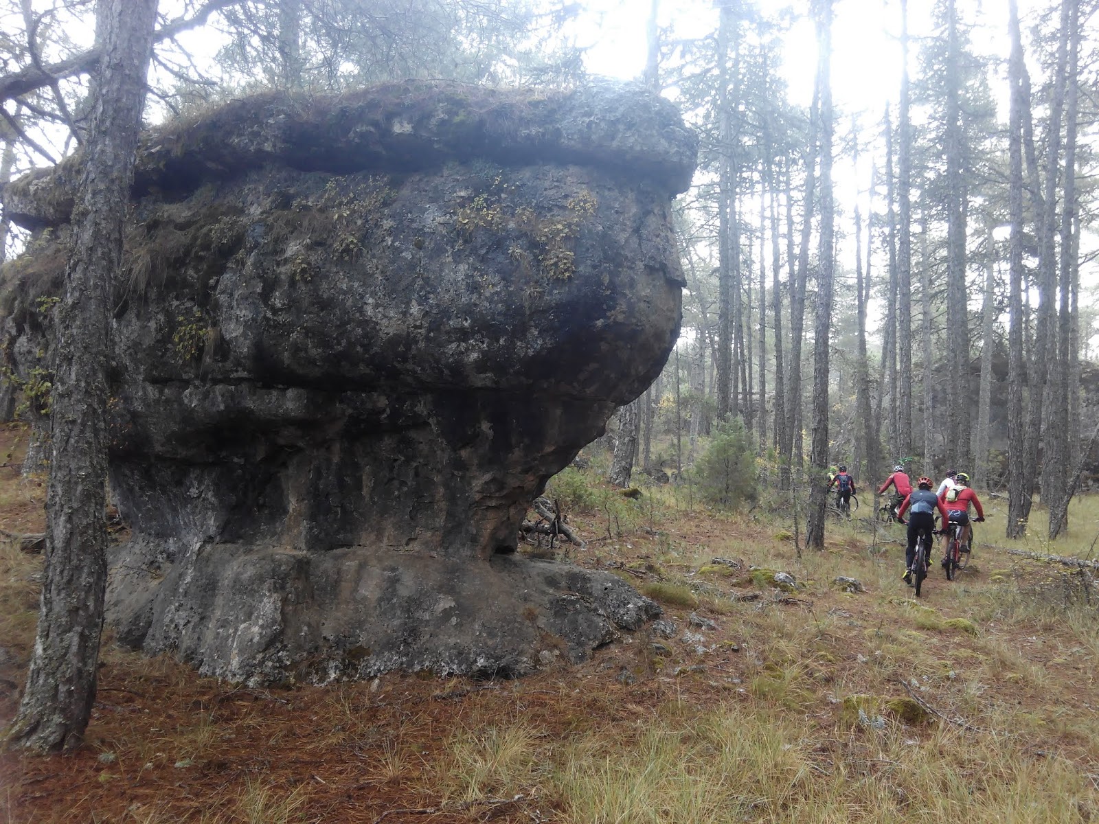 El bosque encantado Rutas por Cuenca