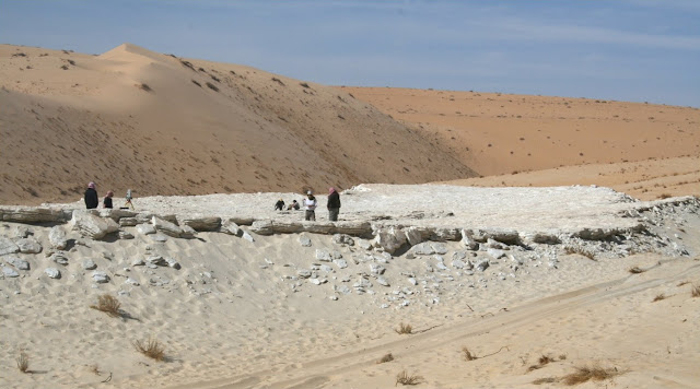 Ancient human footprints in Saudi Arabia give glimpse of Arabian ecology 120,000 years ago