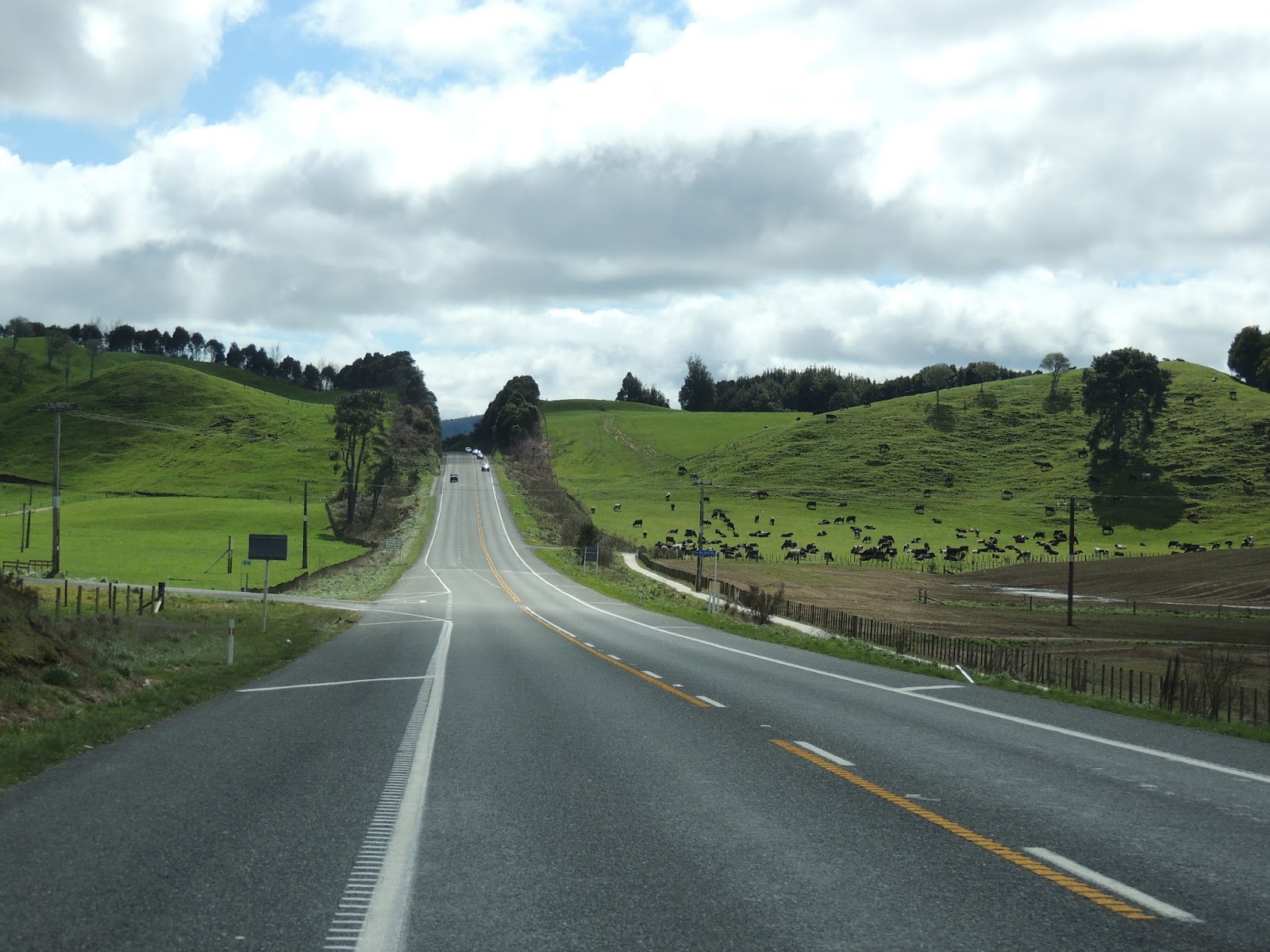 THE ROAD TAKEN Waihi Beach