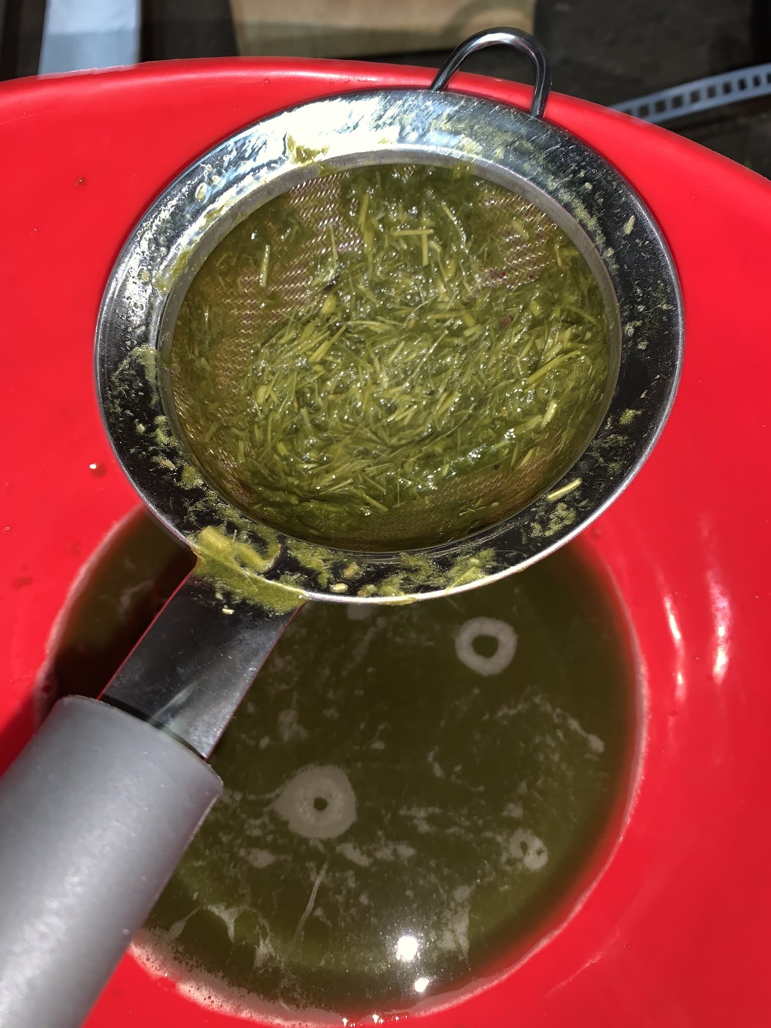 Can I eat that? Asparagus gone to fern