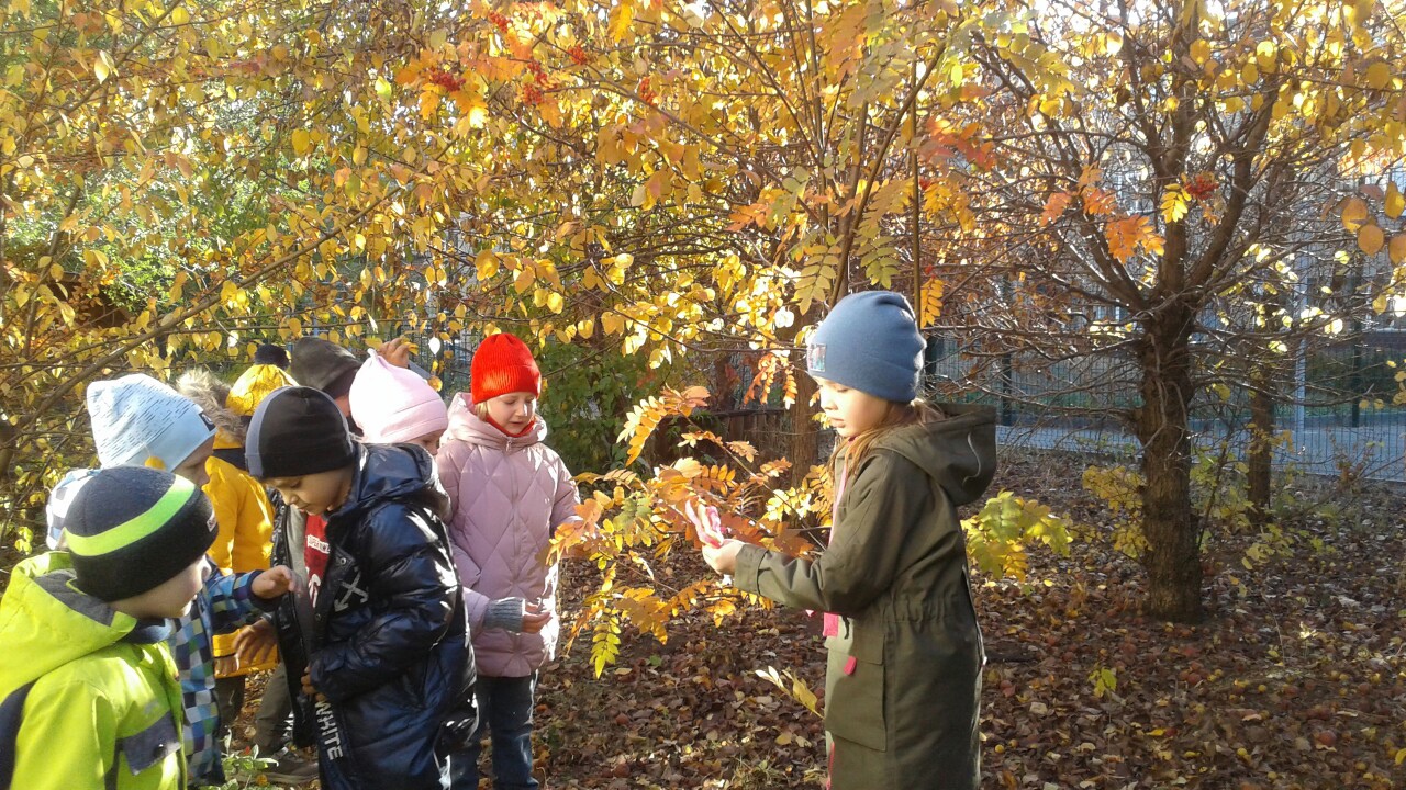 экскурсия детей в осенний парк. экскурсии осенние 3 классе. экскурсия с детьми в осенний лес. экскурсия детей в осенний парк. экскурсия по осеннему лесу.