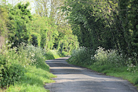 Country Lane