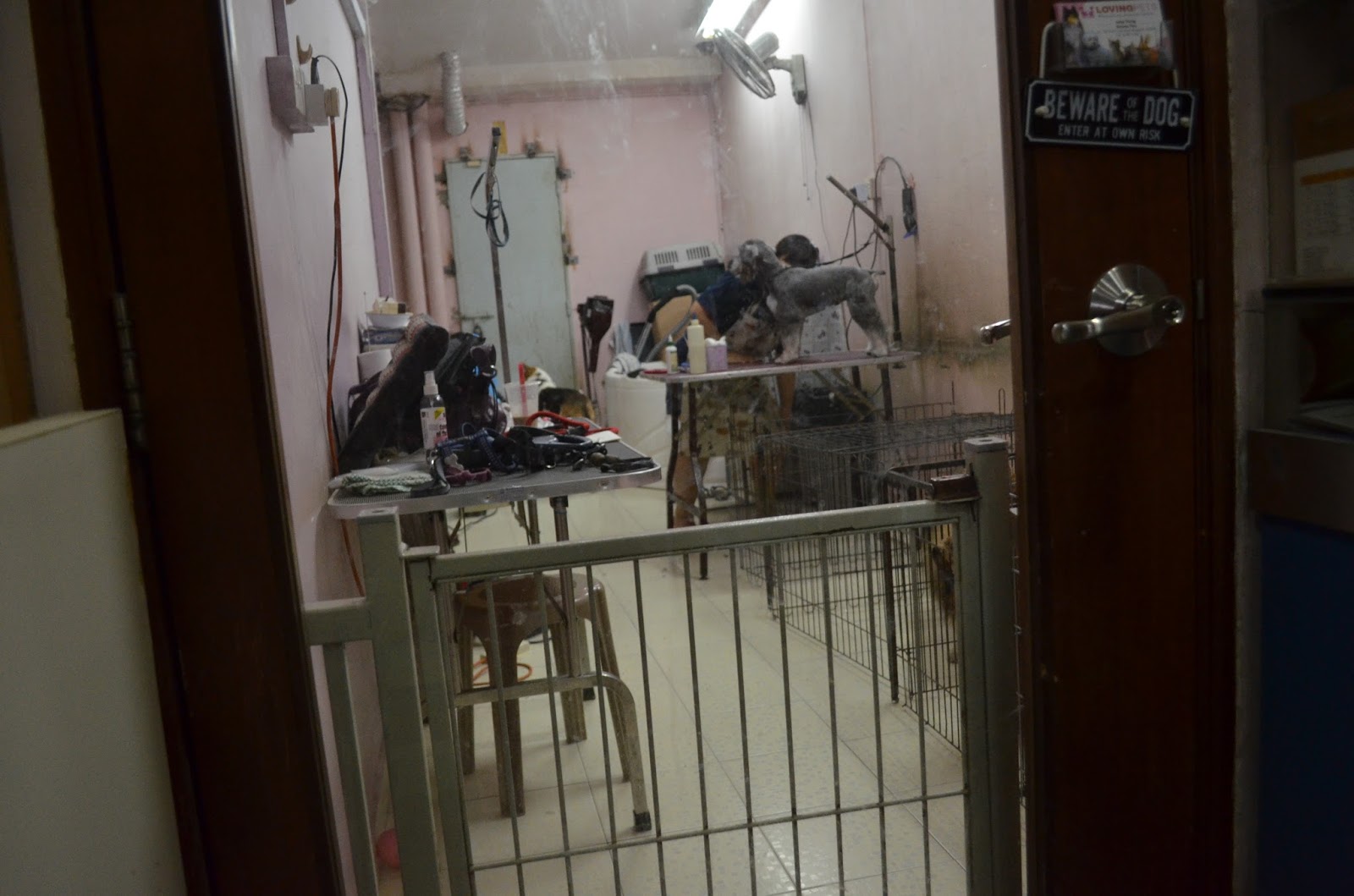 Loving Pets Grooming Shop Review