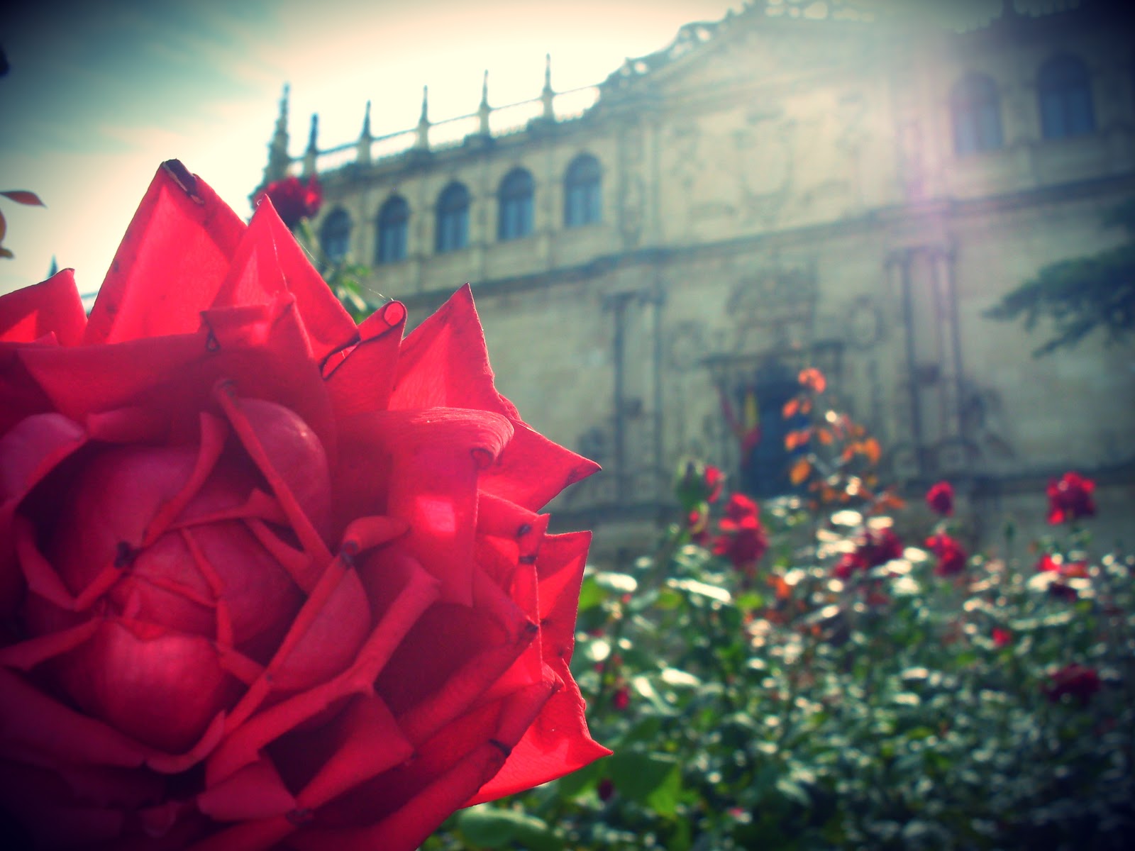 Intentos De Color Una Bonita Tarde De Sabado