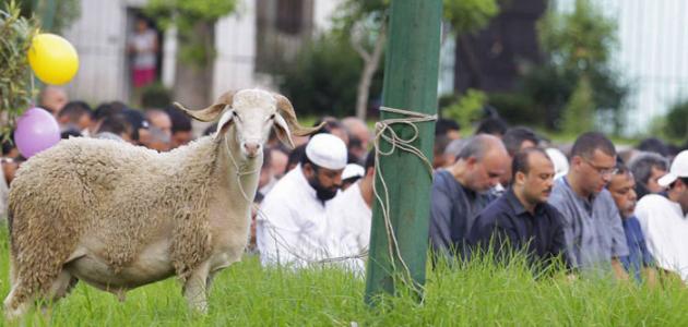 مشروع سرد احداث الاحتفال بعيد الاضحى المبارك للسنة الاولى متوسط