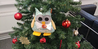 OA Owl sitting in Xmas Tree branches