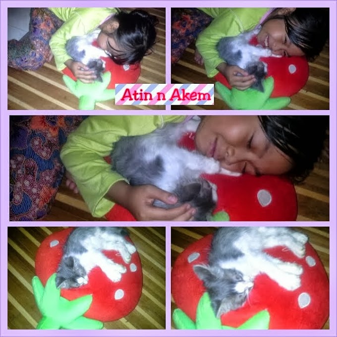 Fatin dengan kucing kesayangannya