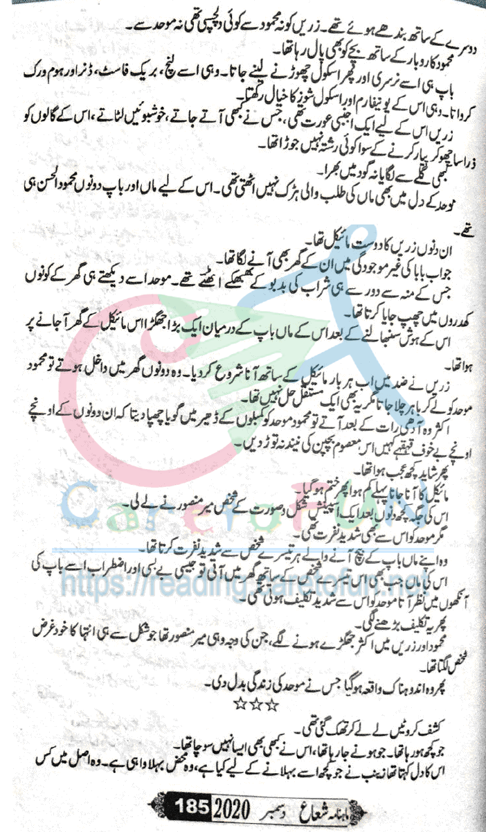 Sham Ki Haveli Main By Rukhsana Nigar Adnan Episode 24