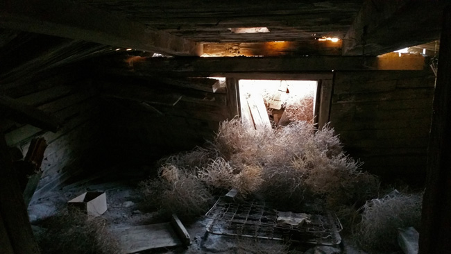Abandoned Cellar in Cisco Utah ghost town