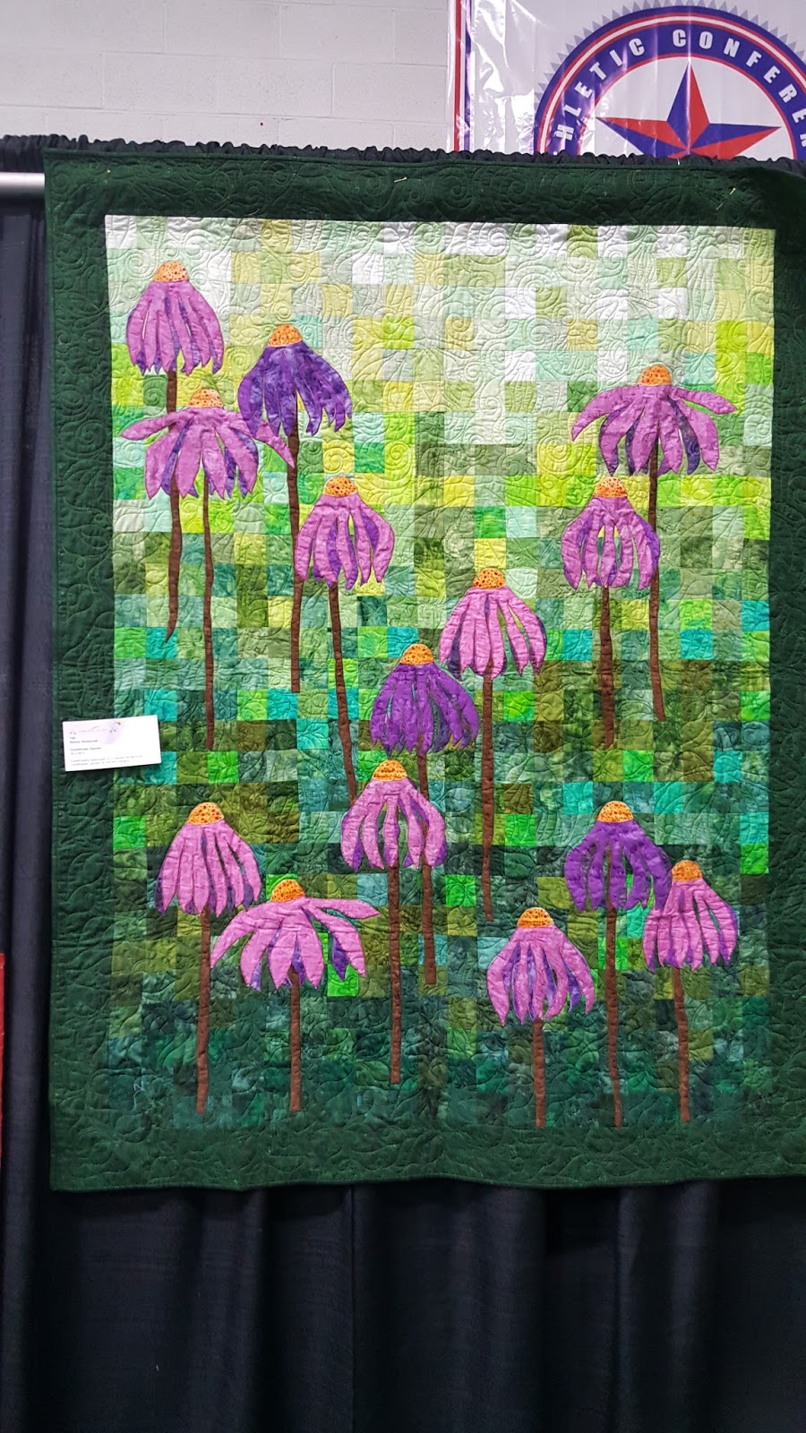 Tales from The Raspberry Rabbits Raleigh Quilt Show Part 2