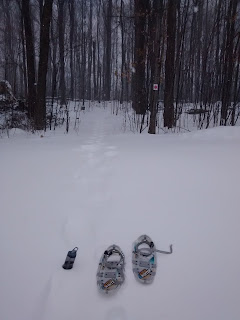 L'Escapade, sentier du mont Rigaud, l'hiver, neige, raquettes