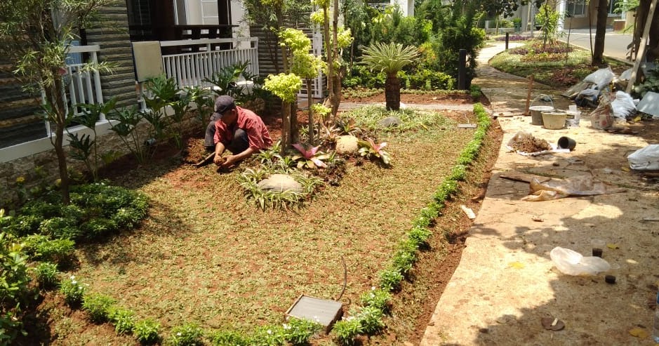  Cara  Membuat  Taman  di Atas Rumah  Modern Rumah  Impian 