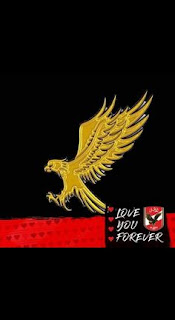 صور نادى الاهلي