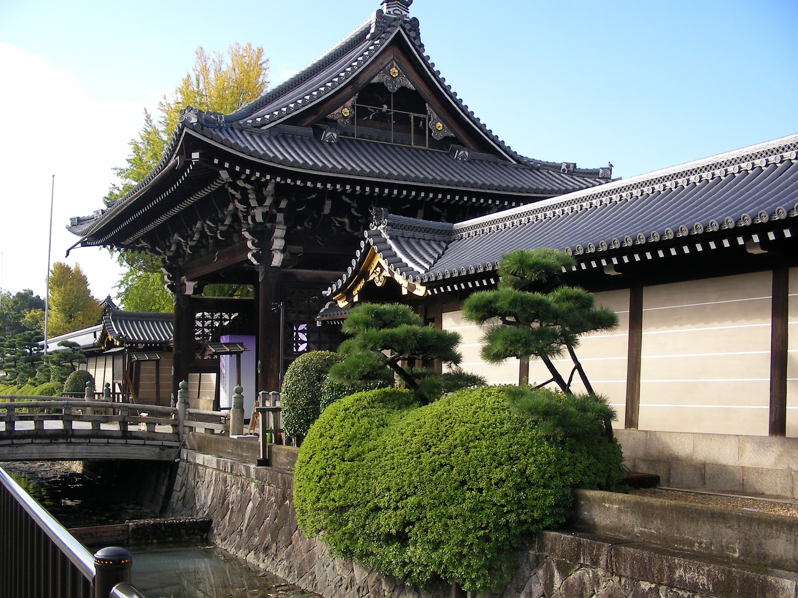 Dessine moi un Kishu: Princesse Miki (Partie 1)