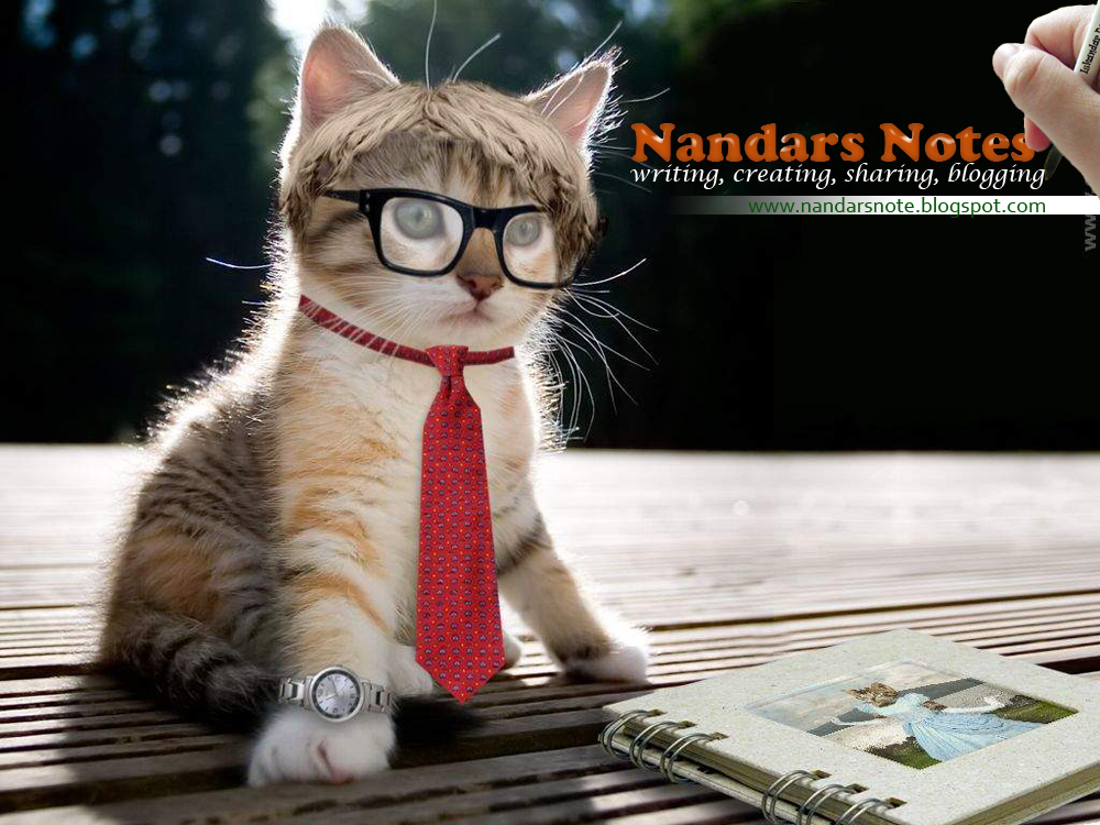 Notes Of Nandar Kucing Lucu dan Unik 