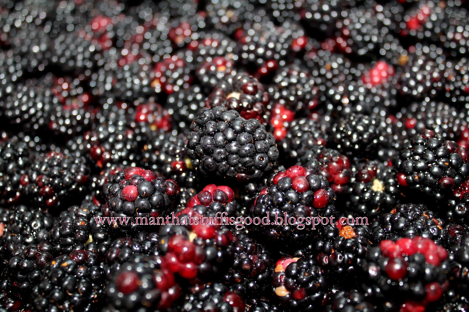 Man That Stuff Is Good! Homemade Blackberry Wine, Part I