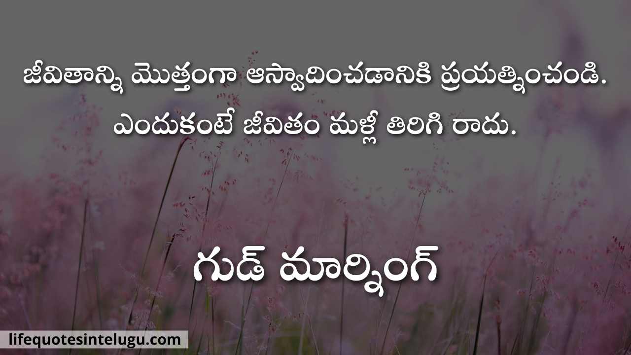 Good Morning Quotes In Telugu