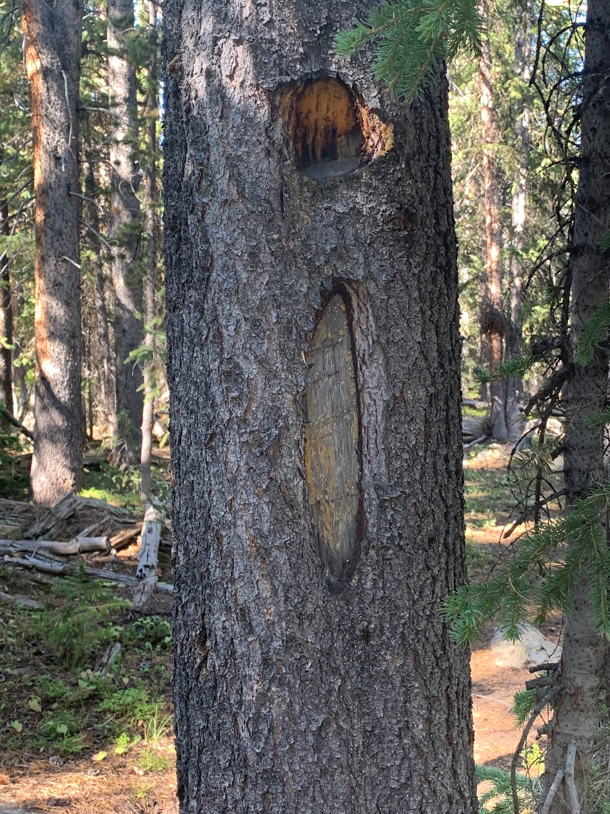 Seeking Shambhala Anson Lakes, Ashley National Forest August 2020