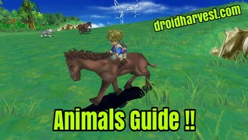 Harvest Moon: Innocent Life Animal Guide