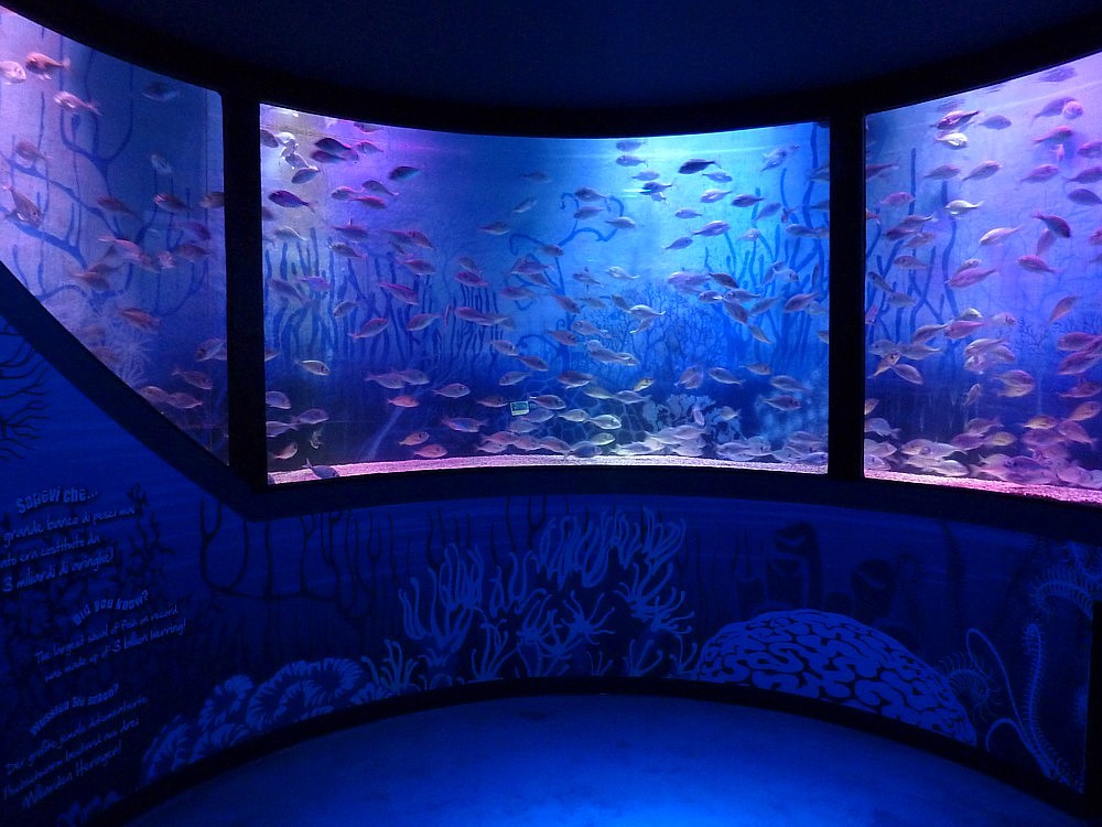 Lido di Jesolo, Sea Life Aquarium EuropaUrlauber