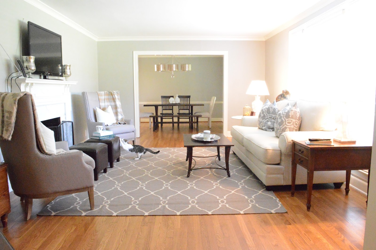 Sylvan Park Life Sources for our Living Room Revealed