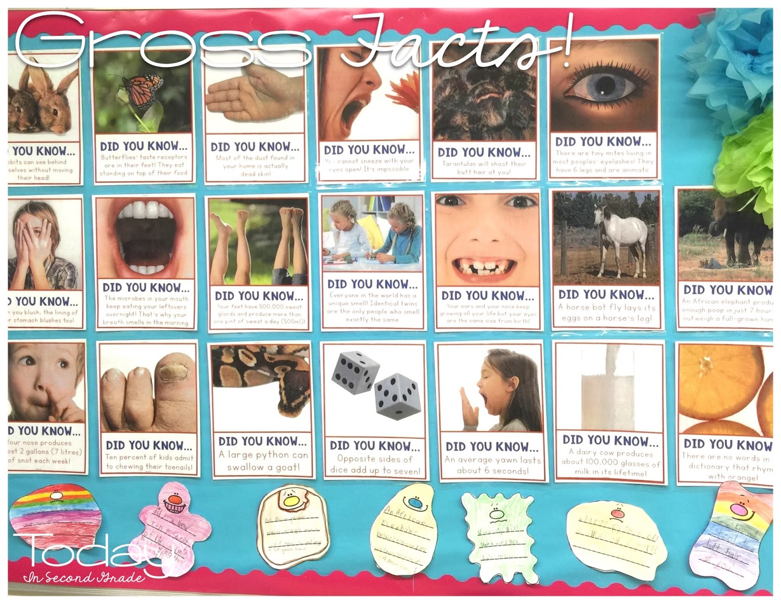 Gross Facts! - Today in Second Grade
