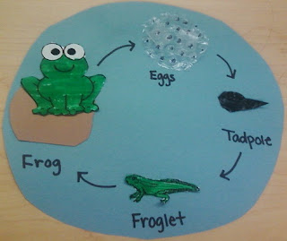 Lesson Plans For Teachers: Life Cycle of a Frog Lesson Plan and