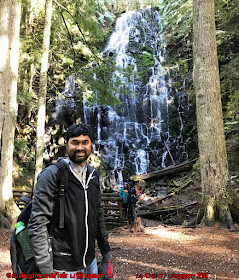 Mt Hood Scenic Waterfalls Hike