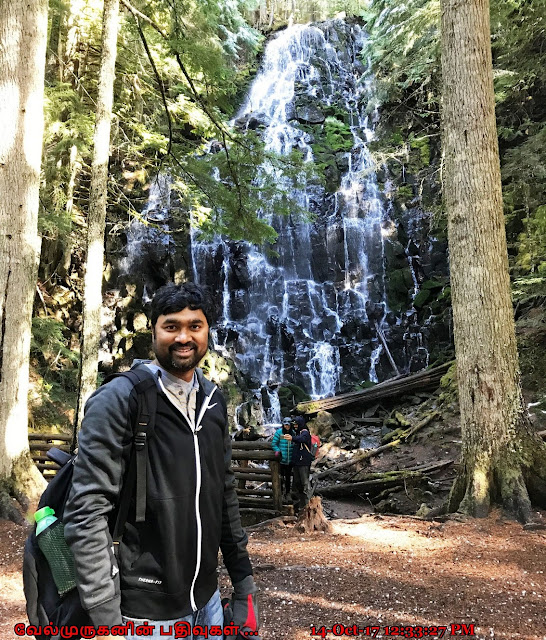 Mt Hood Scenic Waterfalls Hike