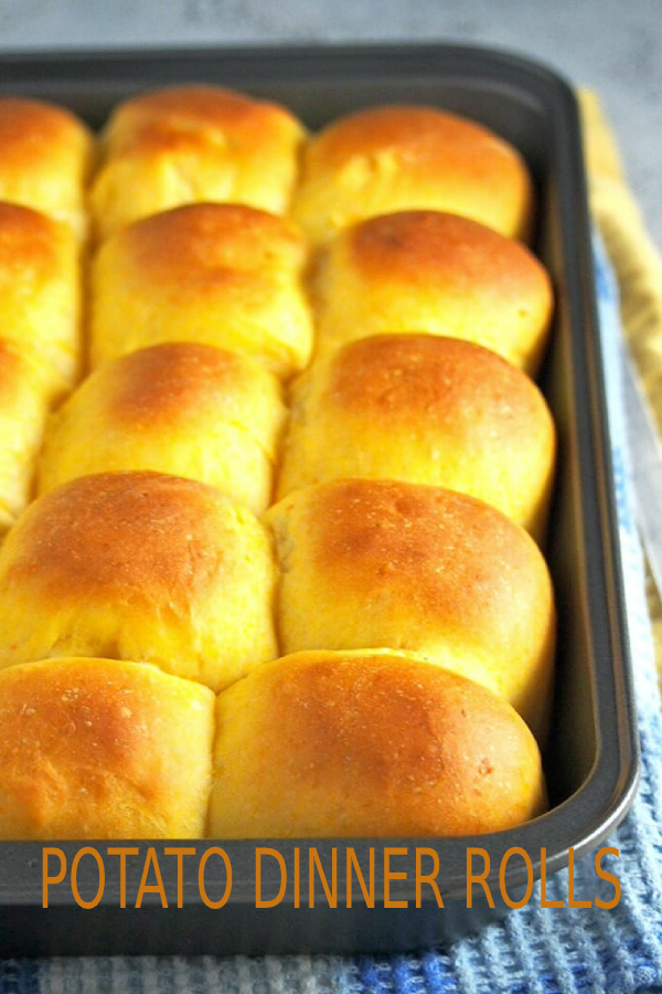 POTATO DINNER ROLLS RECIPE happy cook
