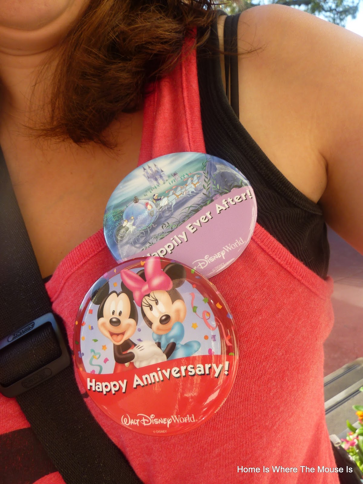 WHAT ANNIVERSARY IS DISNEY CELEBRATING intelligence overview