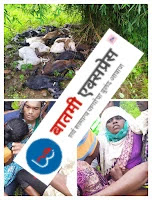 Chandrapur News,Chandrapur Lightning strikes,Marathi News, Lightningstrikes,News,Latest News in Marathi,Chandrapur Marathi News,Batmi Express