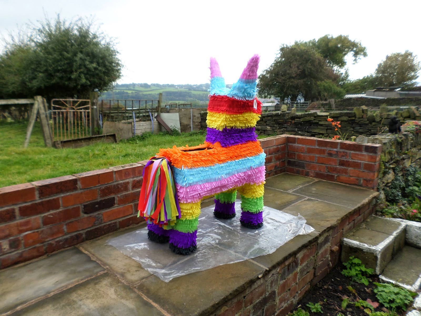 The pinata lady: custom made pinatas: Mexican themed wedding card box
