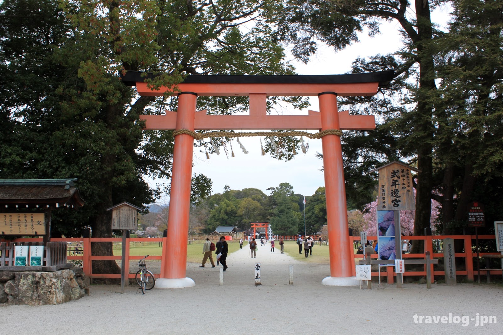 Travelog Jpn 京都の社 賀茂別雷神社 上賀茂神社 境内の美しいしだれ桜