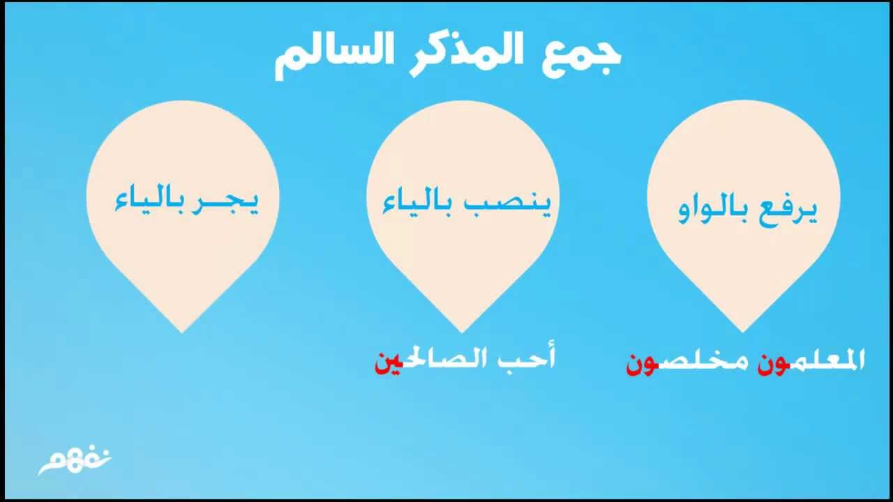 Jama Mudzakkar Salim Pengertian Kaidah Dan Contoh Hahuwa